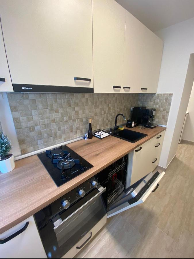 Apartamentul Gaviota Timişoara Eksteriør billede