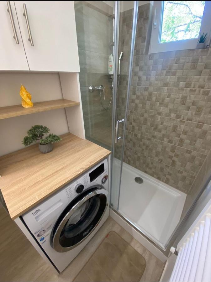 Apartamentul Gaviota Timişoara Eksteriør billede