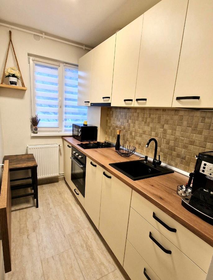 Apartamentul Gaviota Timişoara Eksteriør billede