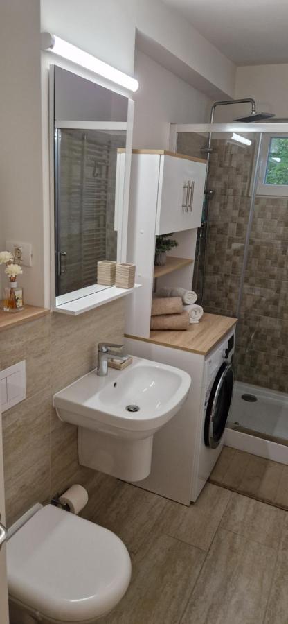 Apartamentul Gaviota Timişoara Eksteriør billede